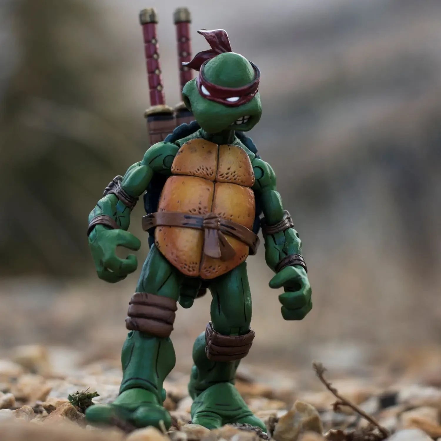 Teenage Mutant Ninja Turtles