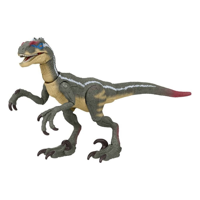 Jurassic Park Hammond Collection - Velociraptor Action Figure Toys & Games:Action Figures Accessories:Action