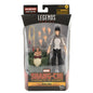Marvel Legends Mr. Hyde BAF Shang-Chi Series - Xialing Action Figure - Toys & Games:Action Figures & Accessories:Action Figures