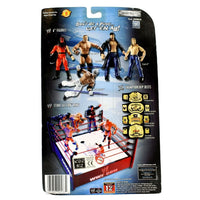 WWE Backlash Series 2 - Triple H Wrestling Action Figure